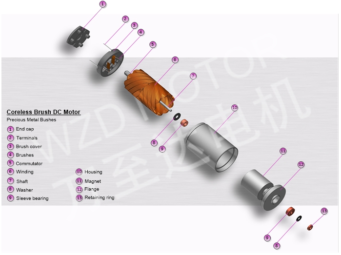 空心杯電機(jī)的結(jié)構(gòu)